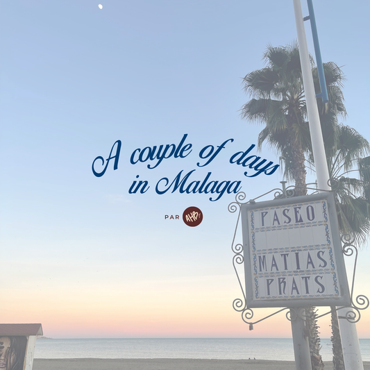 A couple of days in Malaga